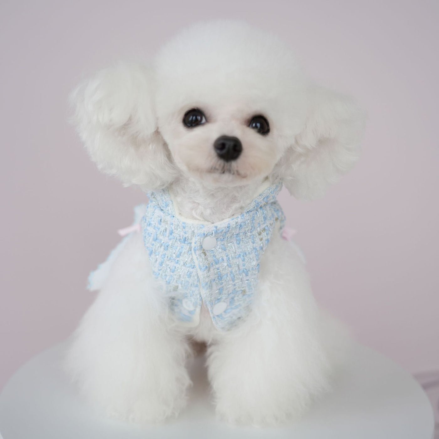 Warm Woollen Sweet Hooded Dog Dress Jacket